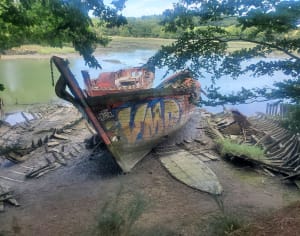 Les sens en éveil dans une nature en folie à Auray et au Bono ! - Auray - 14