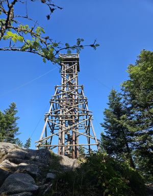 Saut de la Bourrique et Tête de Mérelle à Géradmer - Gérardmer - 28