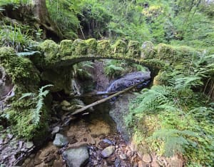 Saut de la Bourrique et Tête de Mérelle à Géradmer - Gérardmer - 30