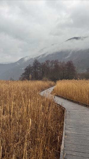 Doussard et la réserve naturelle du bout du lac d'Annecy - Doussard - 17