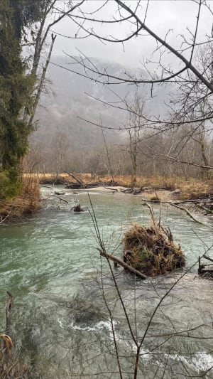 Doussard et la réserve naturelle du bout du lac d'Annecy - Doussard - 18