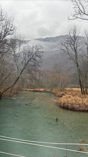 Doussard et la réserve naturelle du bout du lac d'Annecy - Doussard - 19