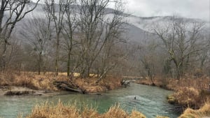 Doussard et la réserve naturelle du bout du lac d'Annecy - Doussard - 21