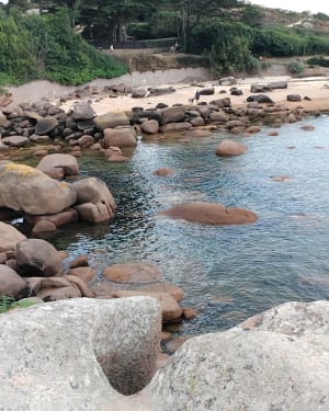 Douanepad tussen Perros-Guirec en Trégastel - Perros-Guirec - 22