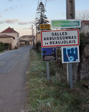 Salles Arbuissonnas - Thierry - 13