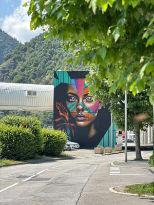 Incontournable, le parcours Street-Art de Moûtiers ! - Moutiers - 15