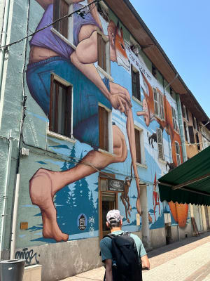 Incontournable, le parcours Street-Art de Moûtiers ! - Moutiers - 19