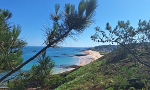 Cap d'Erquy, een zeldzame en adembenemende plek - Erquy - 33
