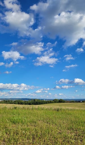 Rzeszów przybyszówka - Rzeszów - 8