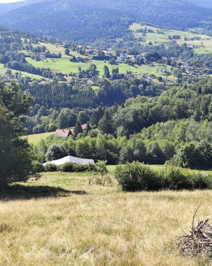 Sentier des chèvres - Bussang - Bussang - 7