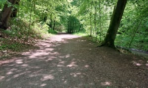 Ku mostkowi Elewów - MARIUSZ - 2