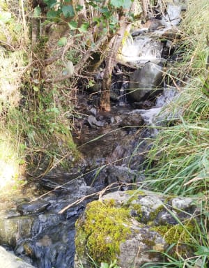 De Neste tussen Aulon en de Granges de Lurgues - Guchen - 11