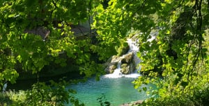 Wandel naar de Tufs-waterval en de kleine Cuisance-bron - Les Planches-prés-Arbois - 74