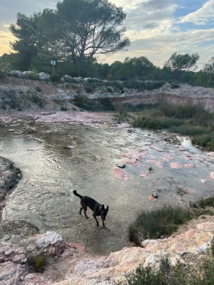 Ontspannende wandeling in Calas en rond het Réaltor-bekken - Le Clos des Prieurs, Calas - 40