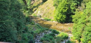 Etre saisi par les gorges de la Saine et de la Langouette - Les Planches-en-Montagne - 52