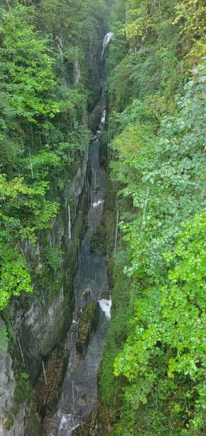 Etre saisi par les gorges de la Saine et de la Langouette - Les Planches-en-Montagne - 55