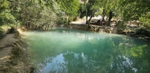 Balade dans le vallon sauvage du Tiourre, sa source et son moulin - Vallon-Pont-d'Arc - 119