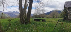 Boucle du Turon de Técouère - Bilhères - 16