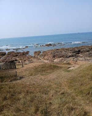 De l'anse des moines à la Baie de Cayola - Les Sables-d'Olonne - 5