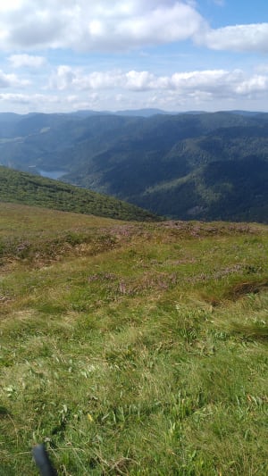Sommets des crêtes de Batteriekopf - La Bresse - 5