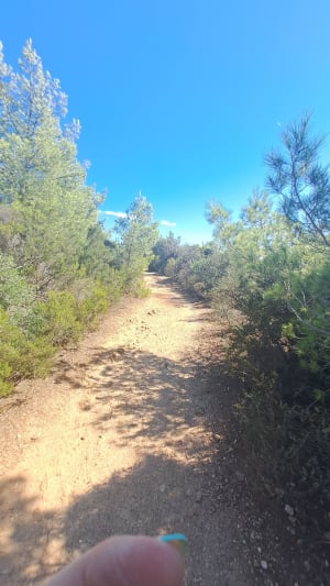 Sentier du littoral de La Londe-les-Maures - La Londe-les-Maures - 42