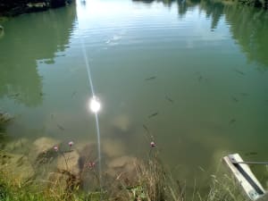 Lac saint Apollinaire - Saint-Apollinaire - 17