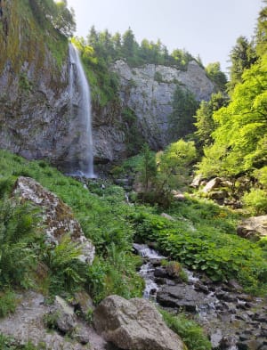 Grande cascade Mont Dore et vue sur le Puy de Sancy - Cécile - 24