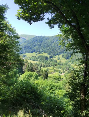 Grande cascade Mont Dore et vue sur le Puy de Sancy - Cécile - 26