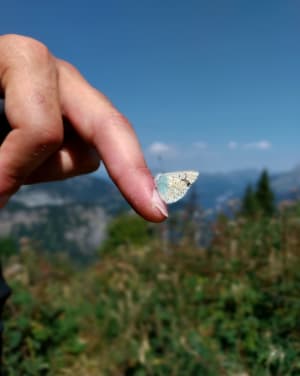 Tour des Fiz, lac de Pormenaz et évasion au pied des falaises - Passy - 6