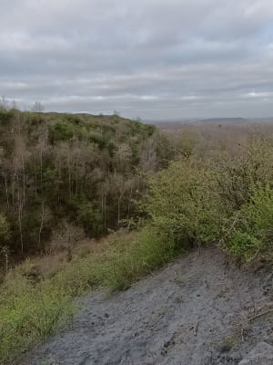 Départ du parc Florimond vers Terry de Fouquières par l'étang de Pêche de Harnes - Harnes - 25