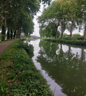 De grote lus van Saint-Dizier - Saint-Dizier - 5