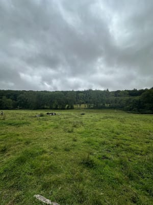 Valmont entre terre et rivière - Amelia - 12
