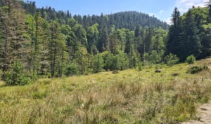 Campan, Payolle-meer en Artigou-stroom - Campan - 84