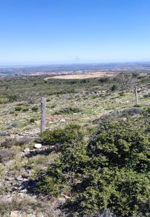 Roc de Majorque - Castelnou - 8