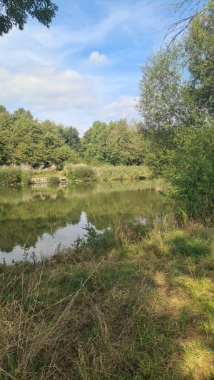 Balade campagnarde entre Bousbecque et Wervicq-Sud - Bousbecque - 4