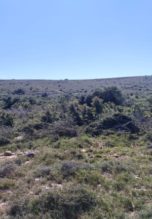 Roc de Majorque - Castelnou - 9