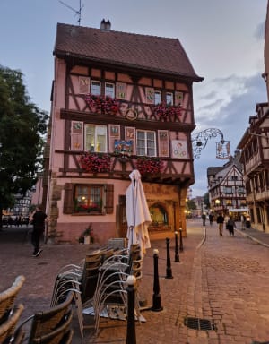 Sportieve en culturele ontdekkingen in Colmar - Colmar - 12