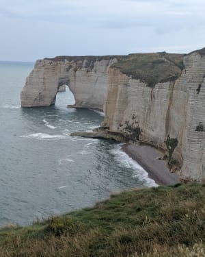 Tilleul - Antifer - Etretat - Le Tilleul - 15