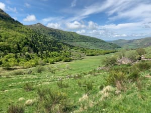 Le sentier d'Emilie au Col de Néronne - Le Falgoux - 21