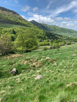 Le sentier d'Emilie au Col de Néronne - Le Falgoux - 22