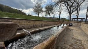 Colline calcaire - VINCENT - 5