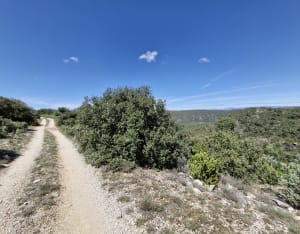Promenade de Bois Madame - La Bastide-des-Jourdans - 4