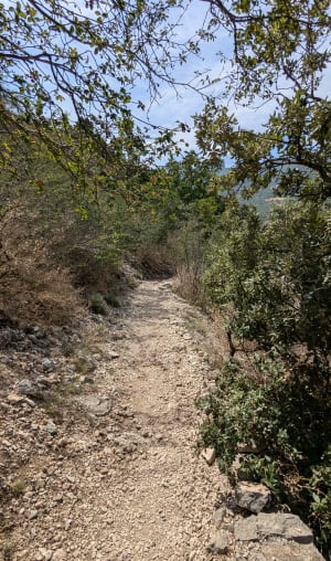 Excursie op de Petit Sentier Blanc Martel en de voetgangersbrug van Estellier - La Palud-sur-Verdon - 68