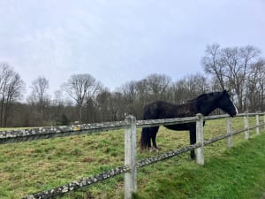 Balade aux portes de Thaon et moment de calme - Thaon - 4