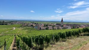 Boucle entre Ammerschwihr et Kayserberg - Ammerschwihr - 2