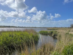 Marais du Curnic et plage du Vougot - Guissény - 11