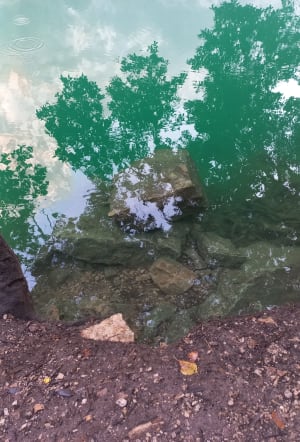 Le lac de Quinson et le Verdon par la Chapelle St-Maxime - Montmeyan - 16