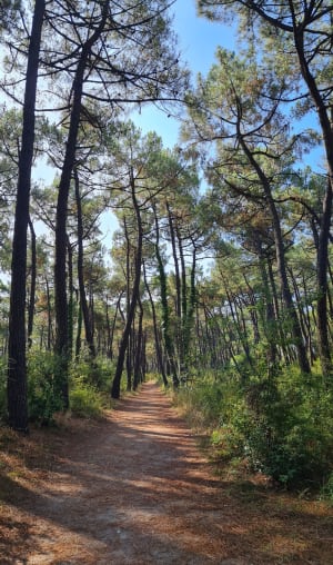 Belle sortie le long de la côte à La Faute-Sur-Mer - La Tranche-sur-Mer - 3