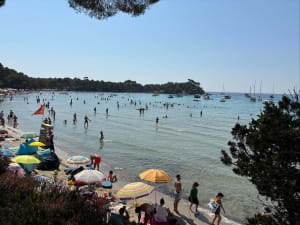 Entre terre et mer, du côté de Bregancon - Bormes-les-Mimosas - 16
