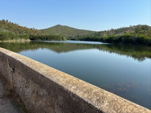 Entre terre et mer, du côté de Bregancon - Bormes-les-Mimosas - 17